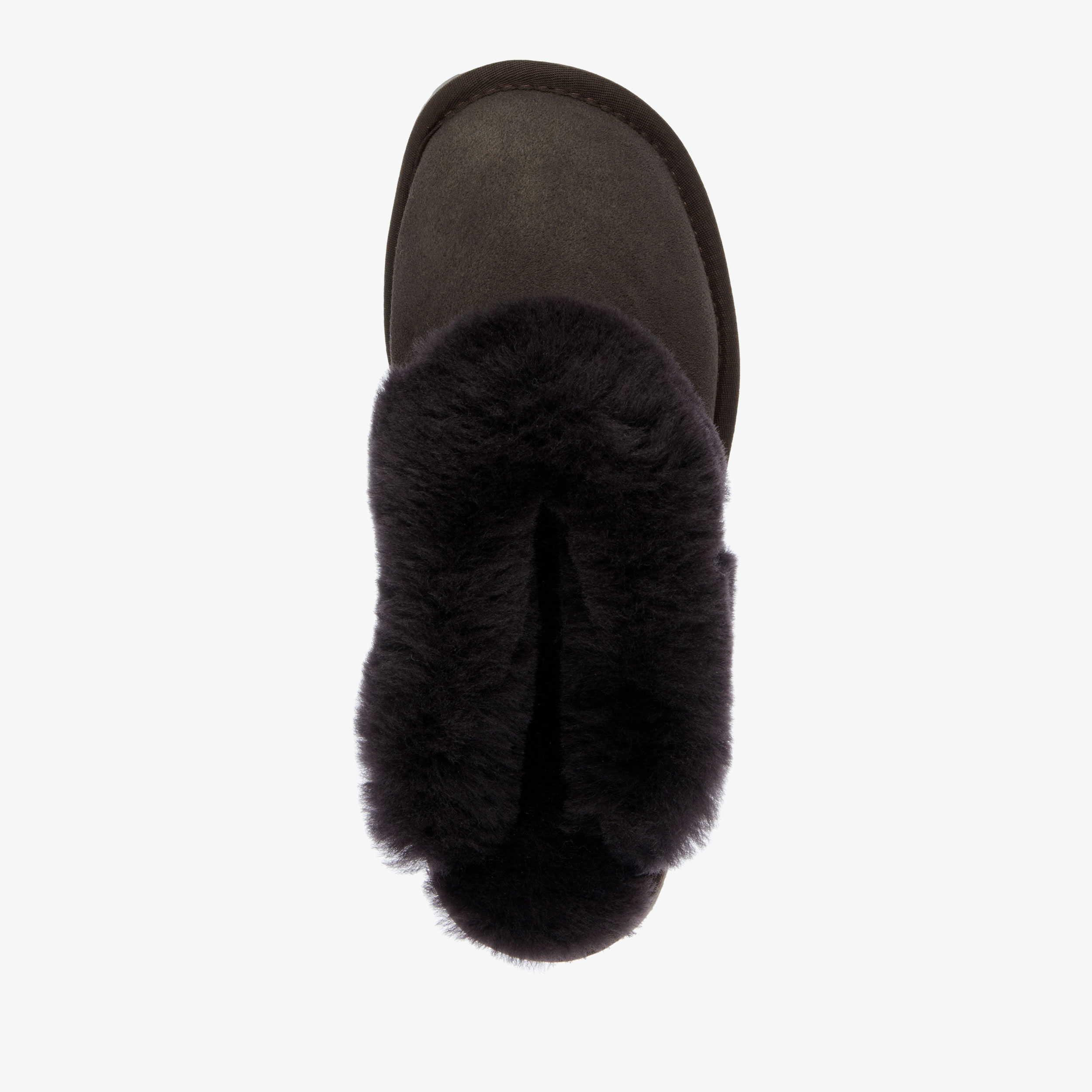 Platinum Eden Womens Sheepskin Slipper EMU Australia