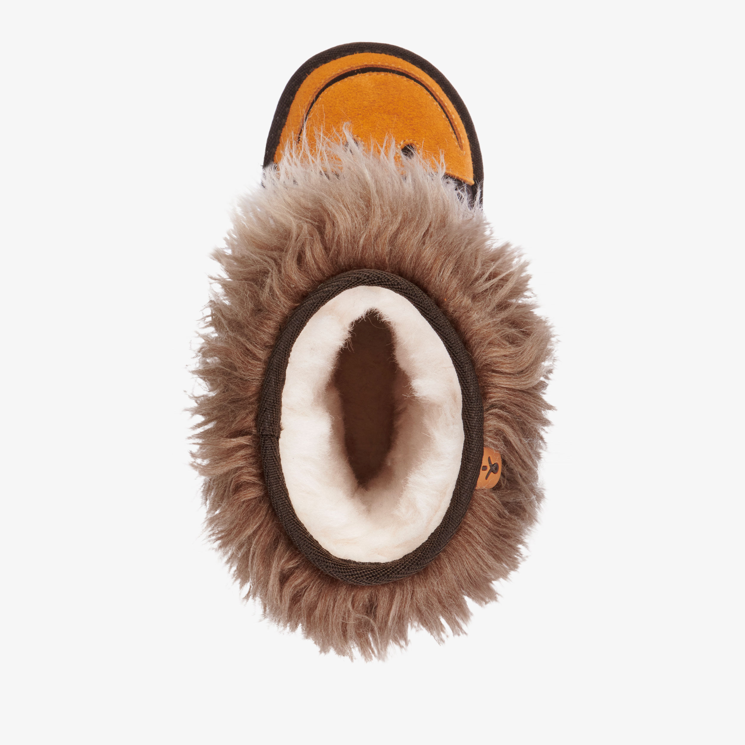 Orangutan