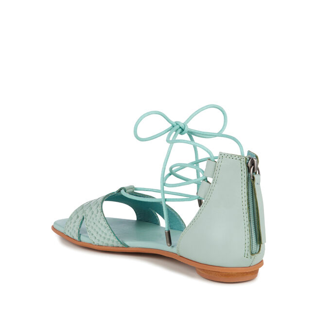 Darnel, SEA GREEN, hi-res