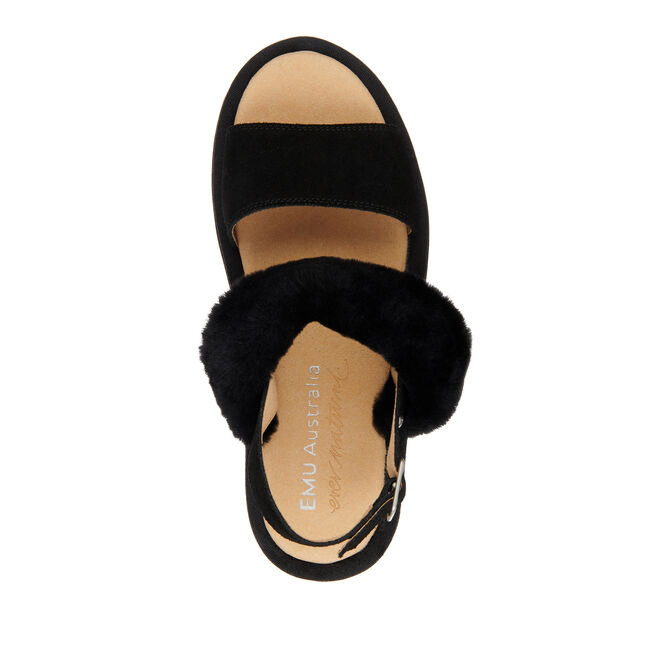 Durack Stinger, BLACK, hi-res