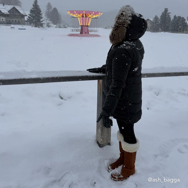 Georgi, CHESTNUT, hi-res