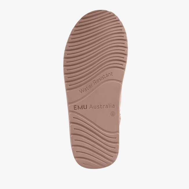 Rigel Shine, CAMEO ROSE, hi-res