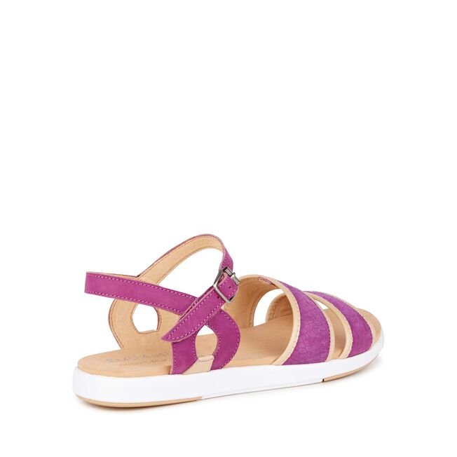 Coris, PURPLE, hi-res