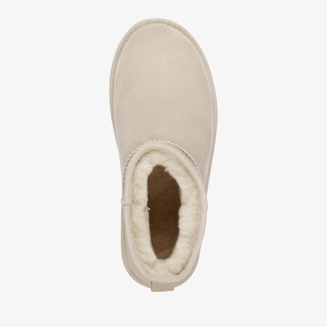 Aarons, MACADAMIA, hi-res