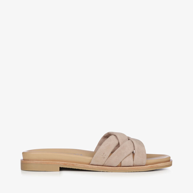 Ikara, CAMEL, hi-res