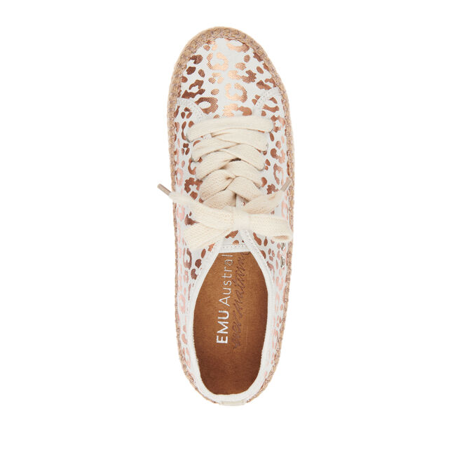 Agonis, WHITE LEOPARD, hi-res
