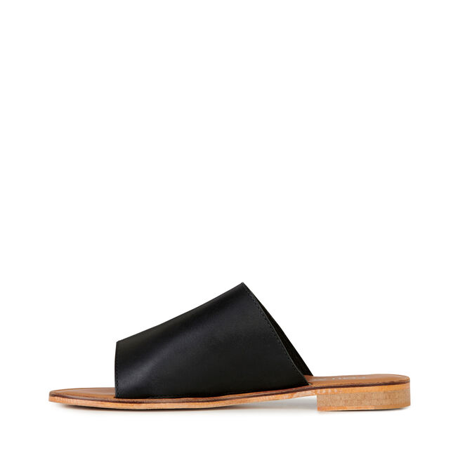 Dion, BLACK, hi-res