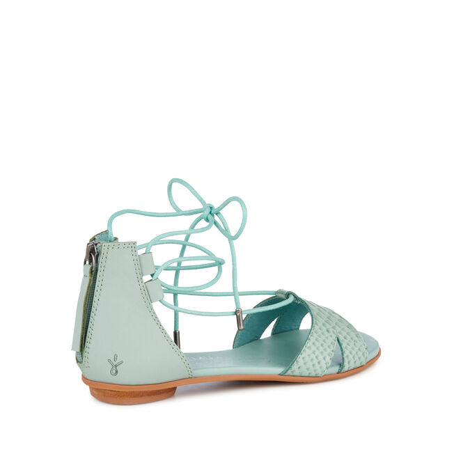 Darnel, SEA GREEN, hi-res