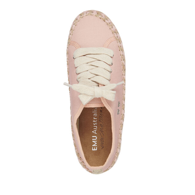 Agonis Mix, PALE PINK, hi-res