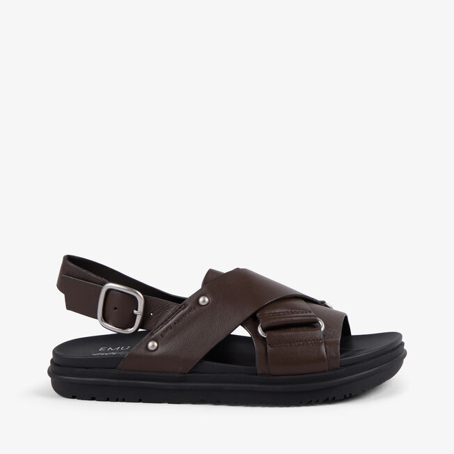 Faye, ESPRESSO, hi-res