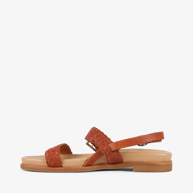 Hyams, TAN, hi-res
