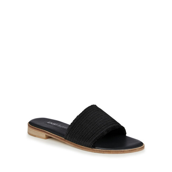 Abbots, BLACK, hi-res