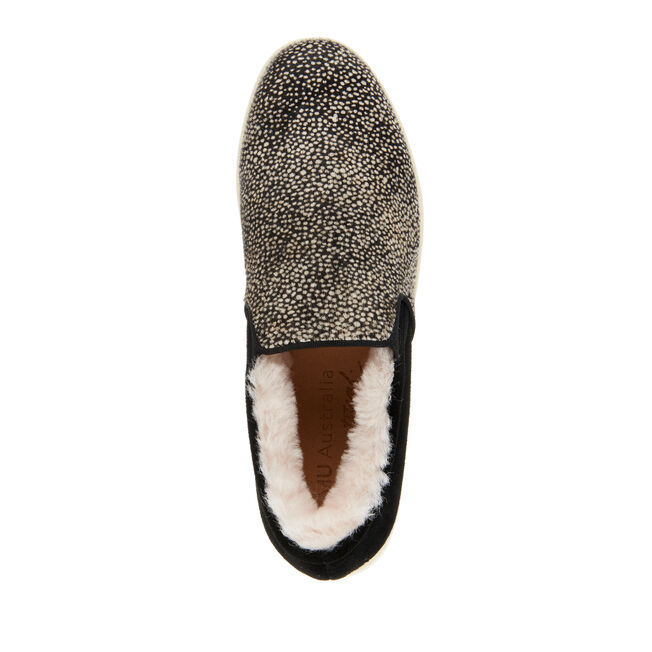 Brunswick Fur, SPOT, hi-res