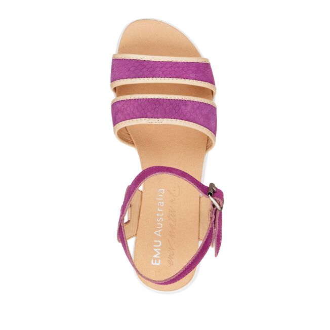 Coris, PURPLE, hi-res