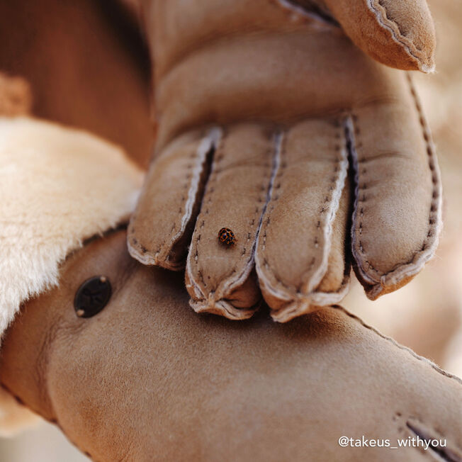 Apollo Bay Gloves, CHESTNUT, hi-res