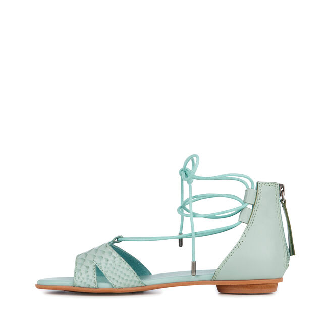 Darnel, SEA GREEN, hi-res