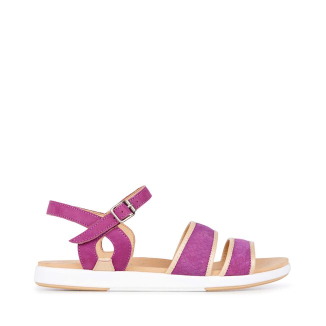 Coris, PURPLE, hi-res