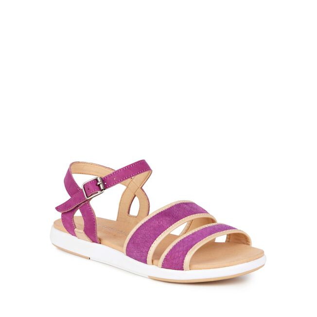 Coris, PURPLE, hi-res