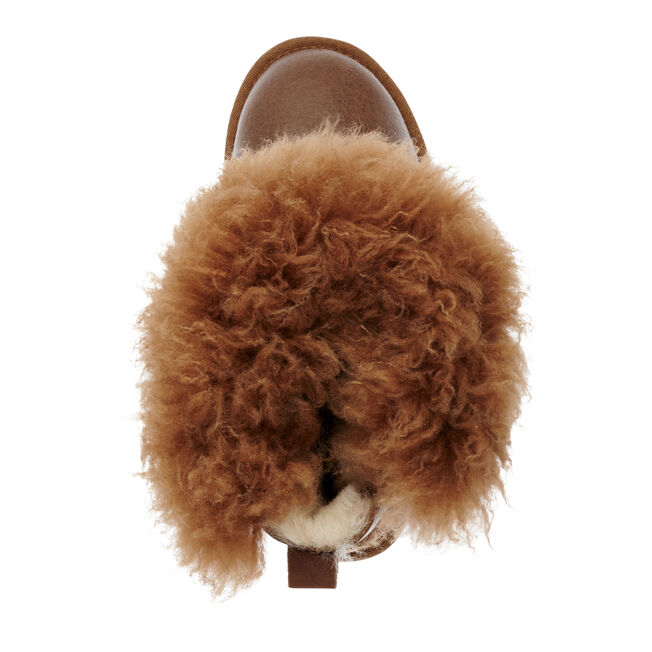 Teddy Wurren, CHESTNUT, hi-res