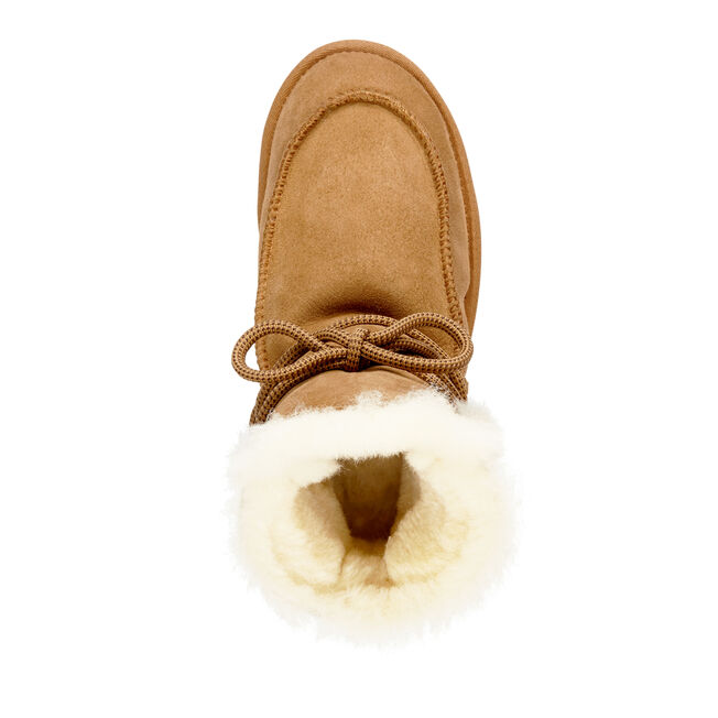 Coryline Lace, CHESTNUT, hi-res