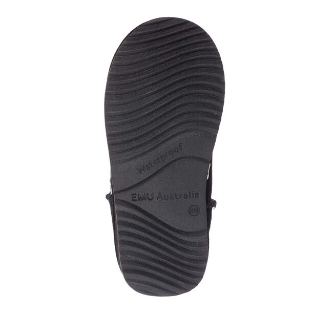 Brumby Dino, BLACK, hi-res