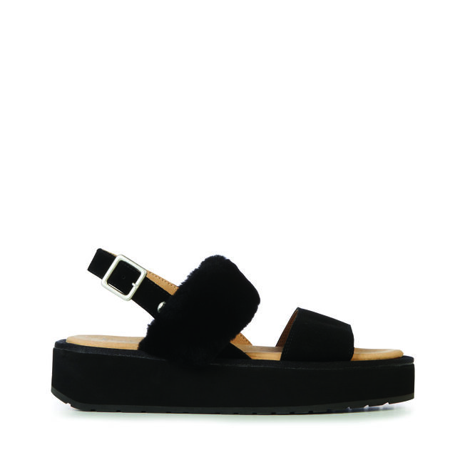 Durack Stinger, BLACK, hi-res