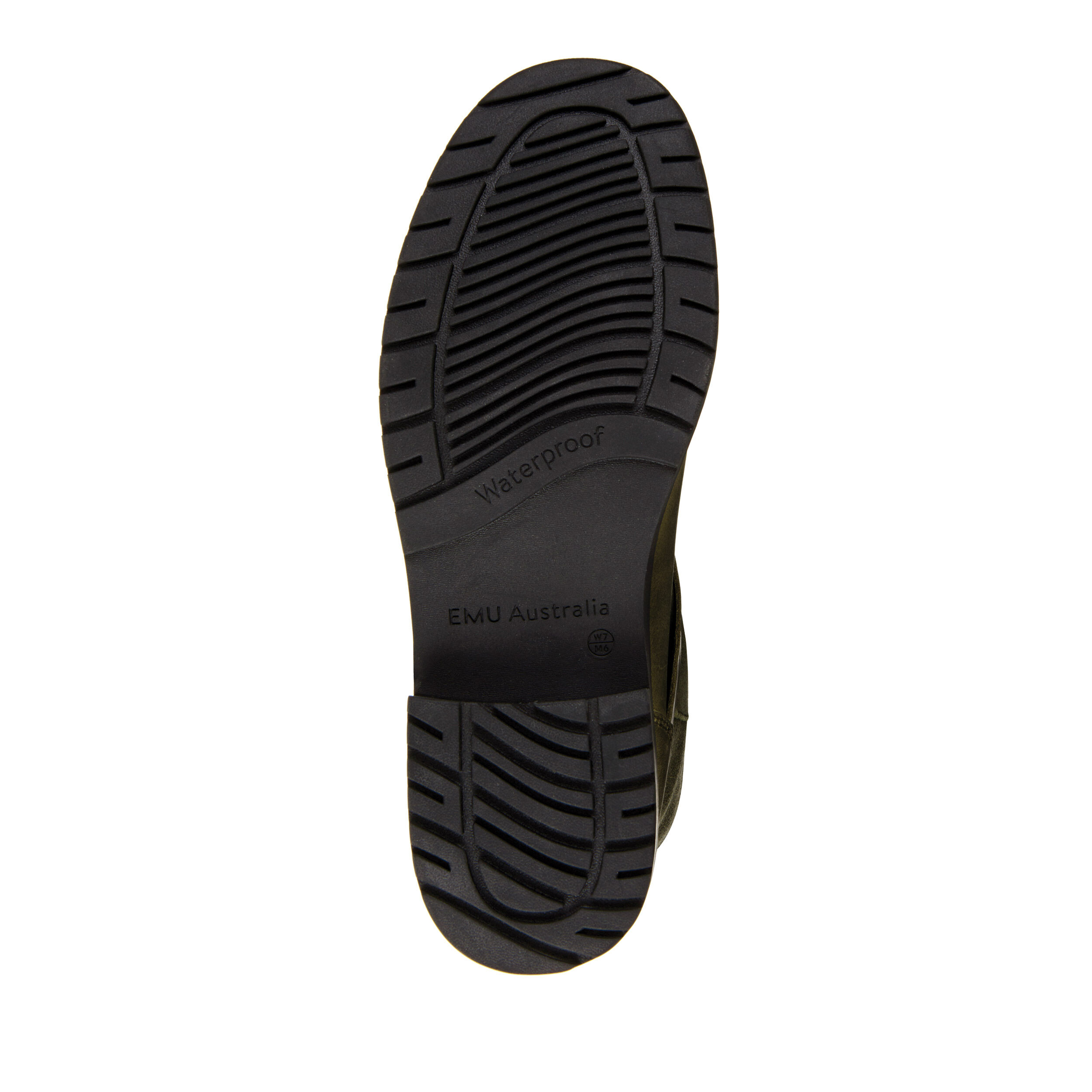 emu australia roadside