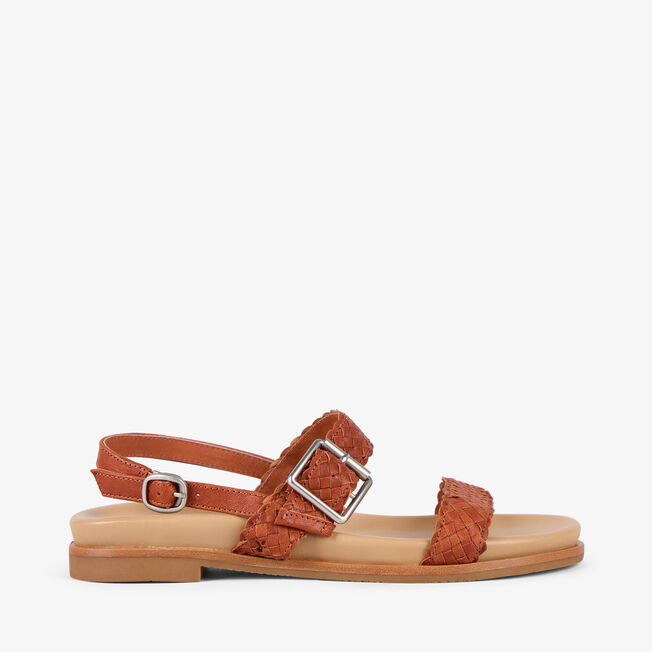 Hyams, TAN, hi-res