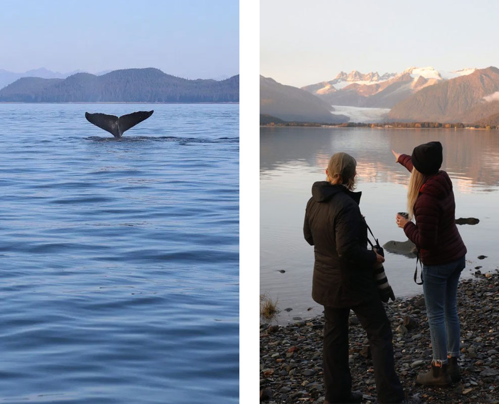 Whale watching with EMU Australia