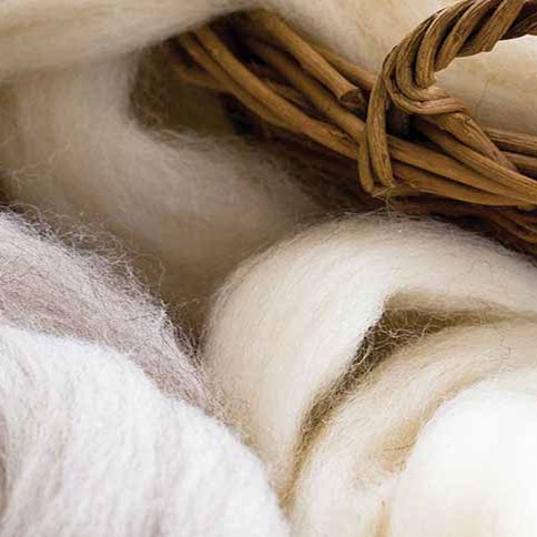 Close up of Australian merino wool