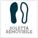 Removable Insole