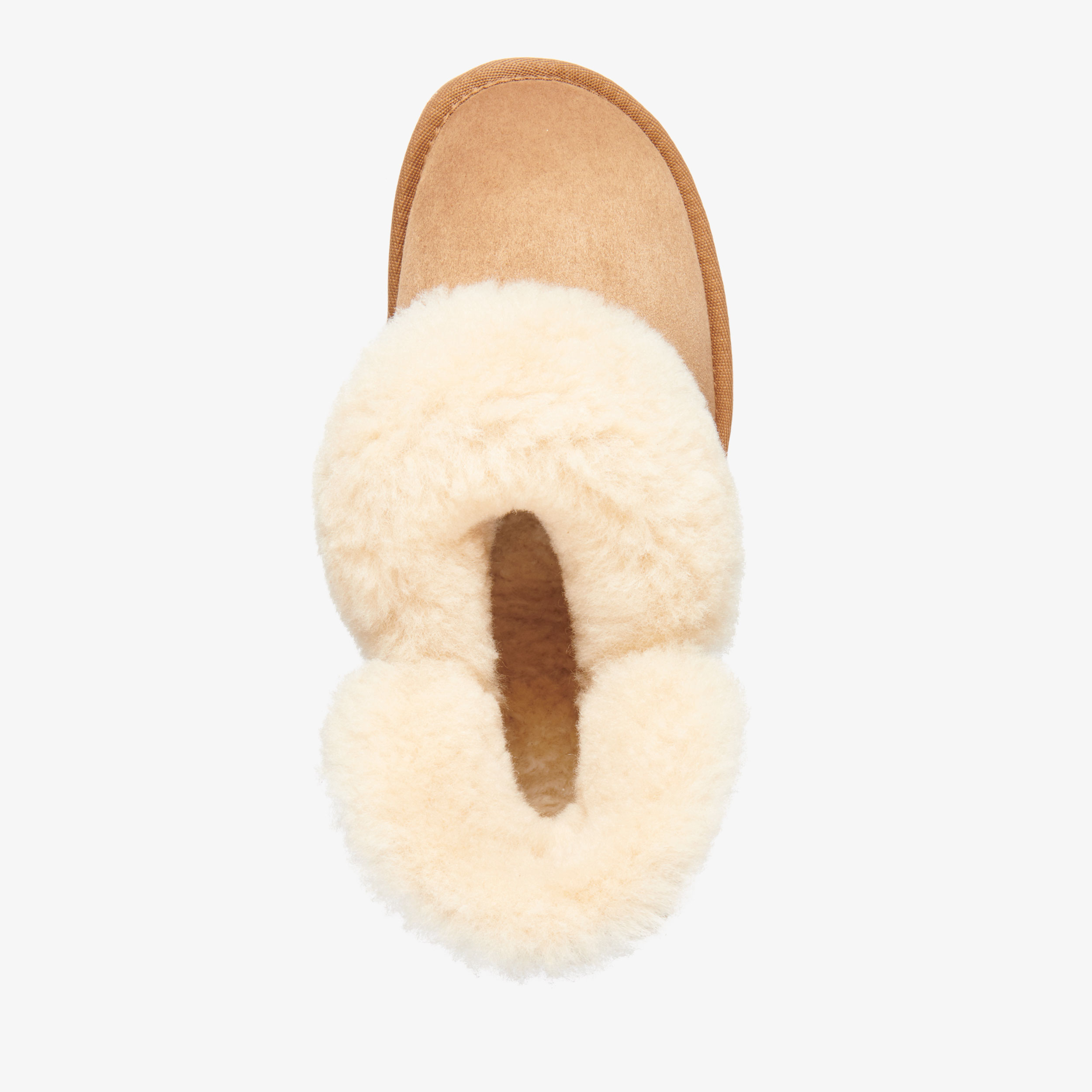 Platinum Mintaro Womens Sheepskin Slipper EMU Australia